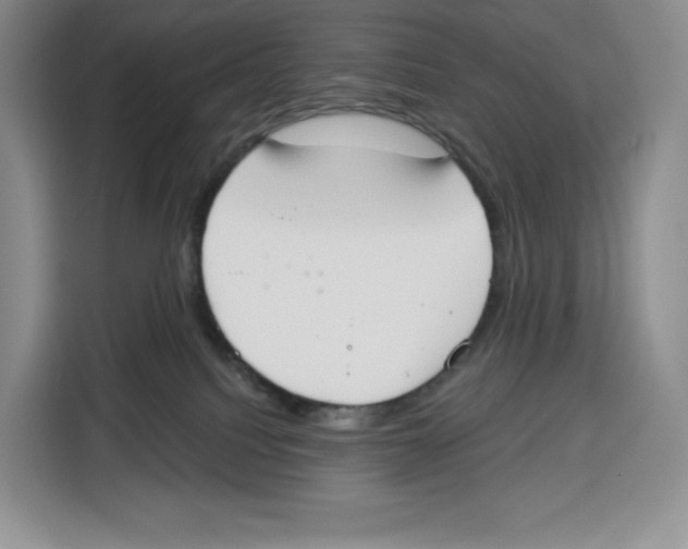 X0000115070088200911241131