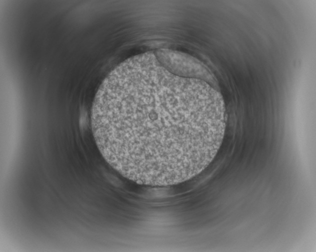 X0000115070089200911241131