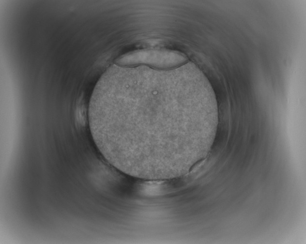 X0000115070090200911241131