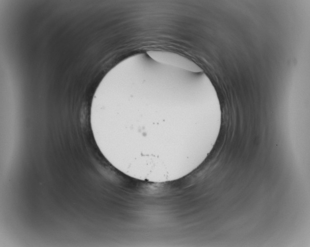 X0000115070092200911241131