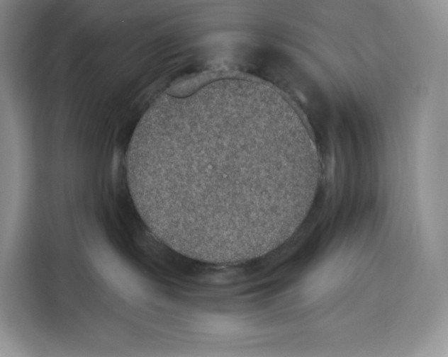 X0000115070095200911241131