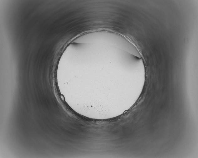 X0000115070097200911241130