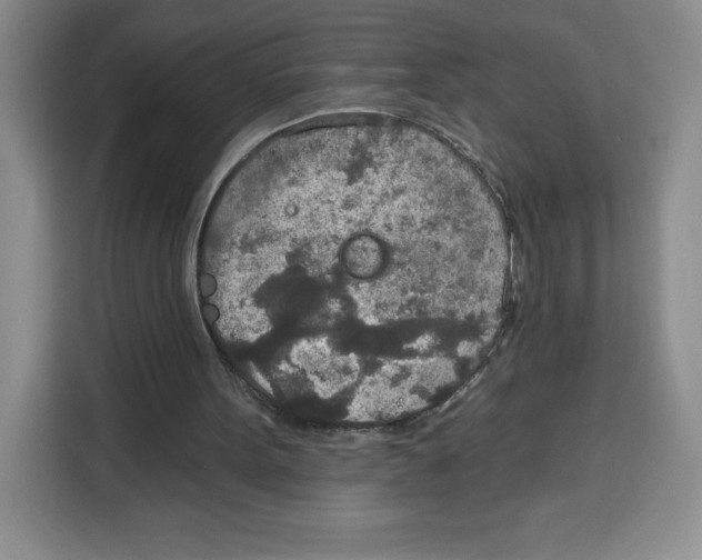 X0000115070099200911241130