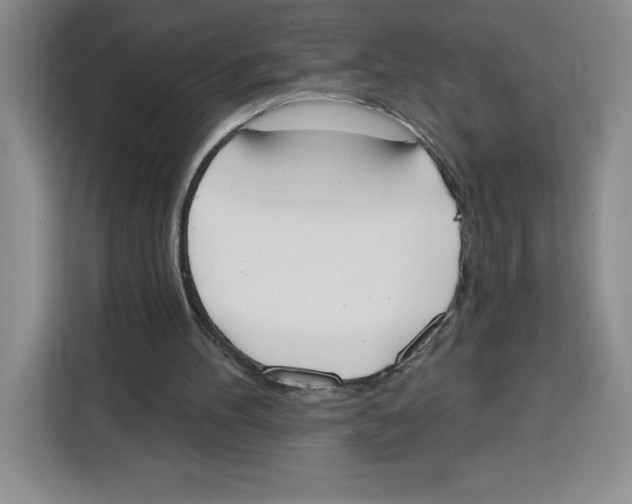X0000115070100200911241130