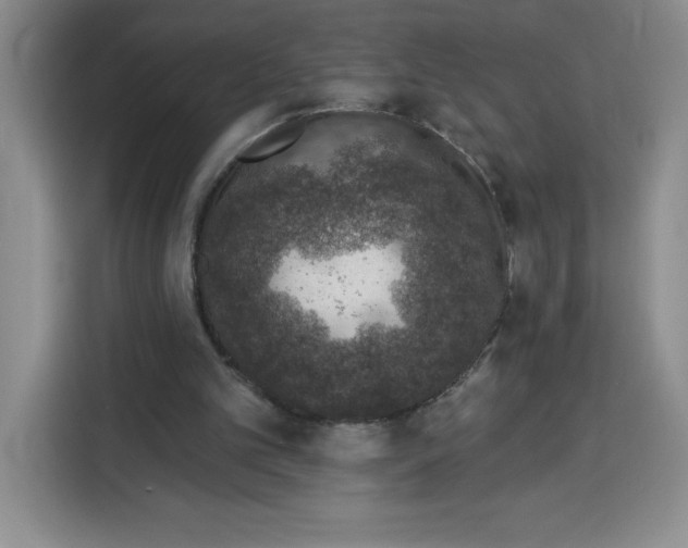 X0000115070101200911241130