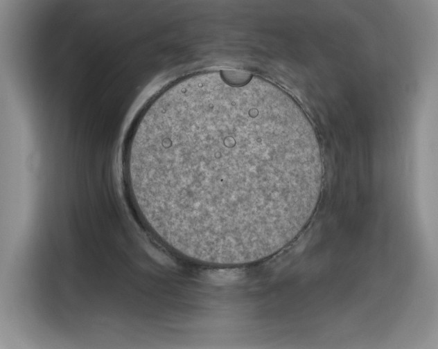 X0000115070102200911241130