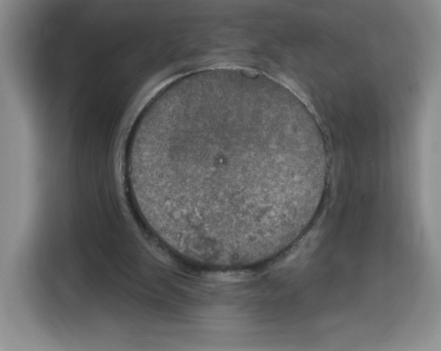 X0000115070103200911241130
