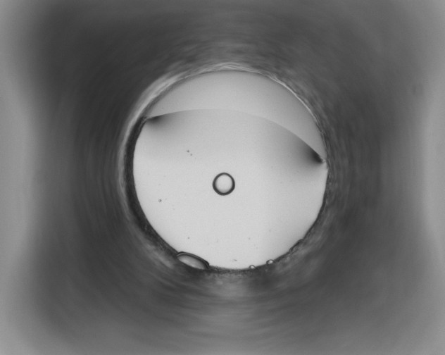 X0000115070104200911241130