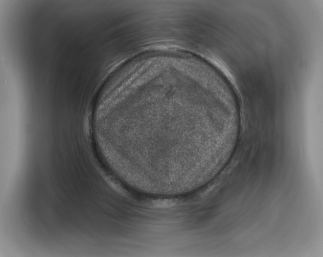 X0000115070105200911241130