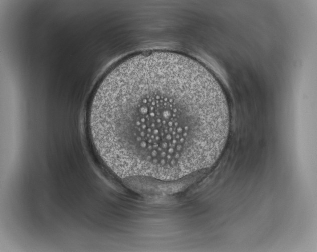 X0000115070107200911241130