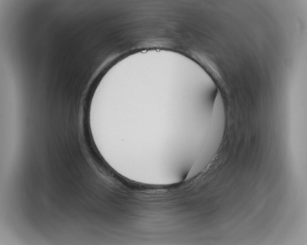 X0000115070108200911241130