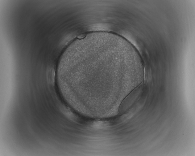 X0000115070109200911241130