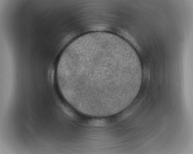 X0000115070110200911241130