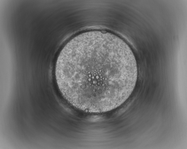 X0000115070111200911241130