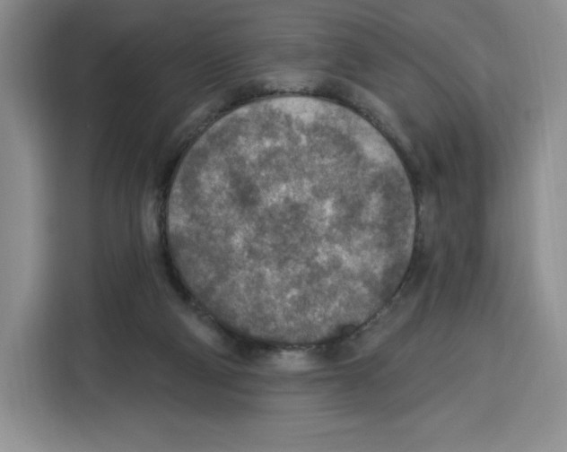 X0000115070114200911241130