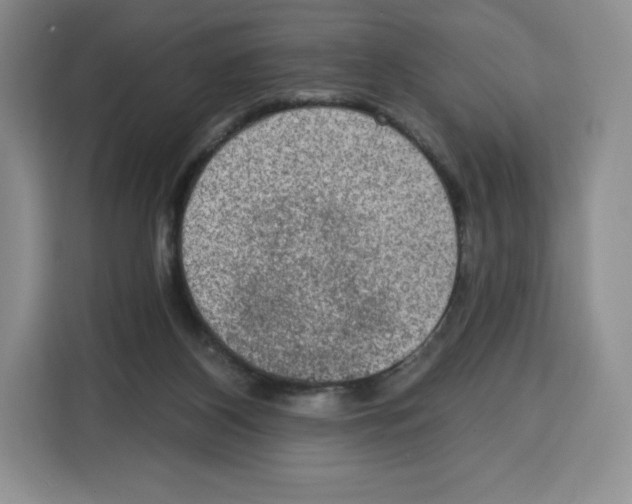 X0000115070116200911241130