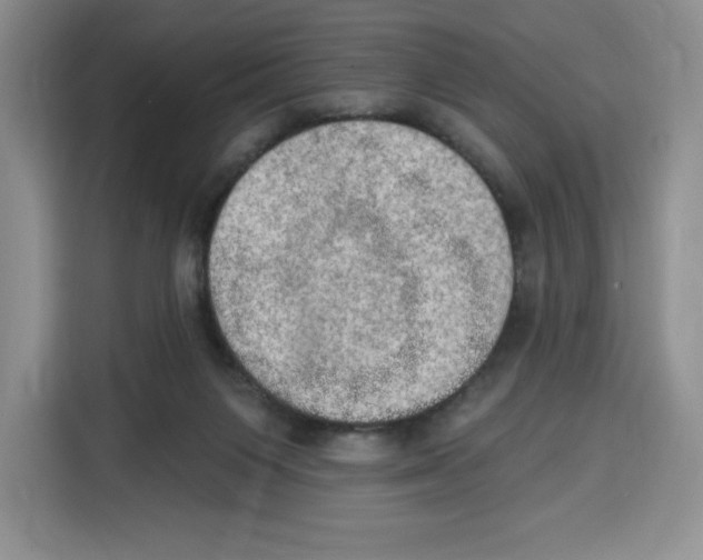 X0000115070119200911241130