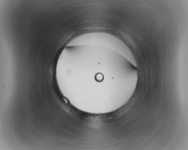 X0000115070120200911241130