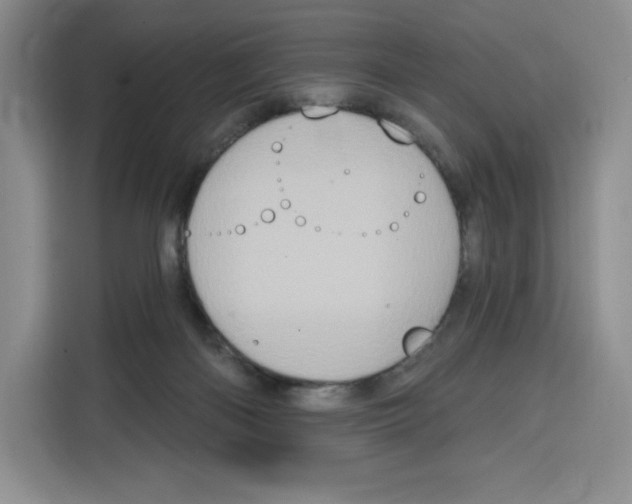 X0000115070122200911241130