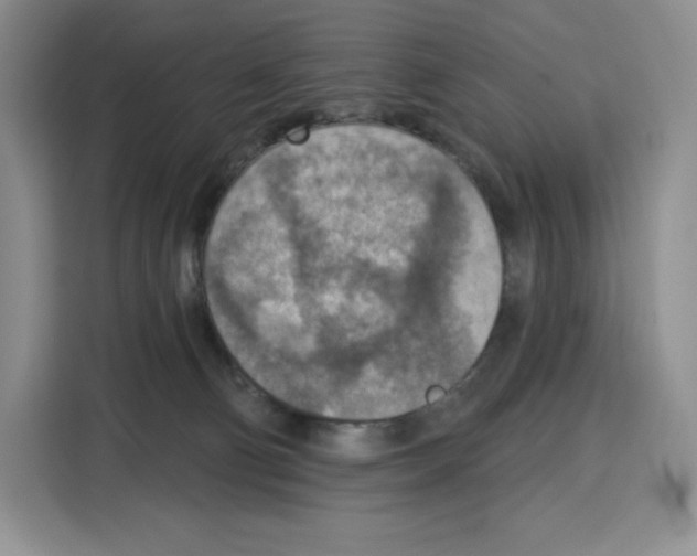 X0000115070130200911241130