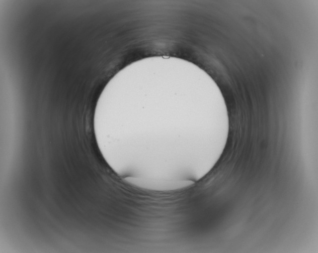 X0000115070131200911241130