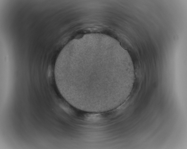 X0000115070132200911241130