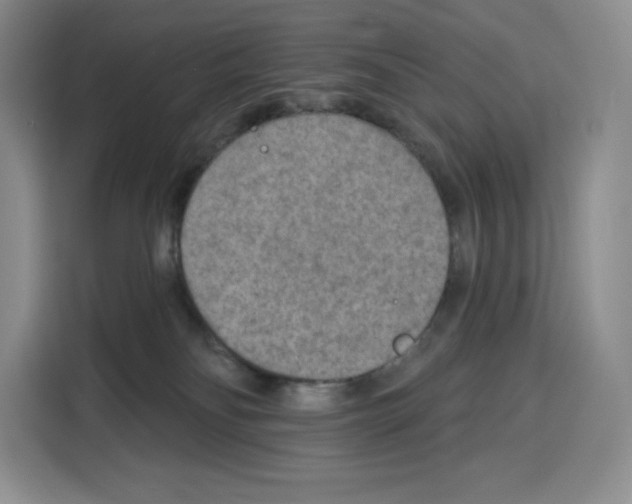 X0000115070134200911241130