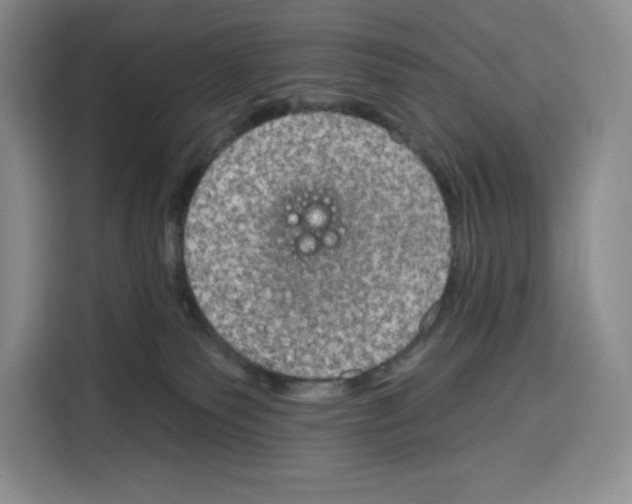X0000115070135200911241130