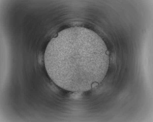 X0000115070138200911241129