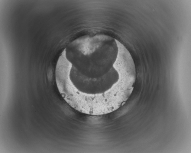 X0000115070139200911241129