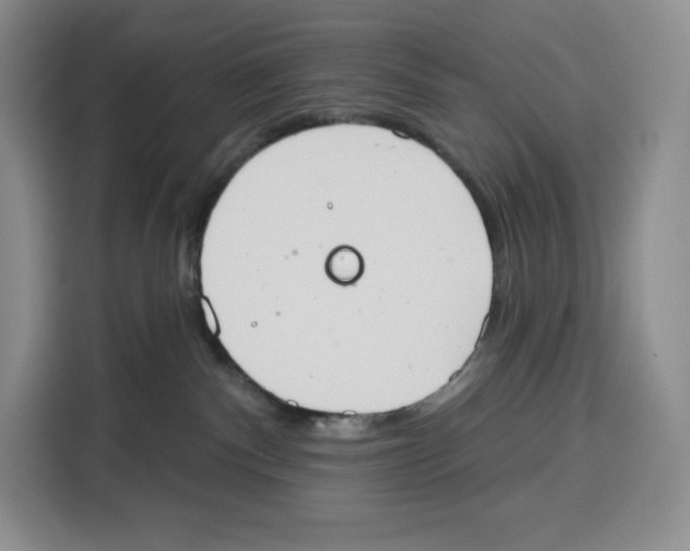 X0000115070140200911241129