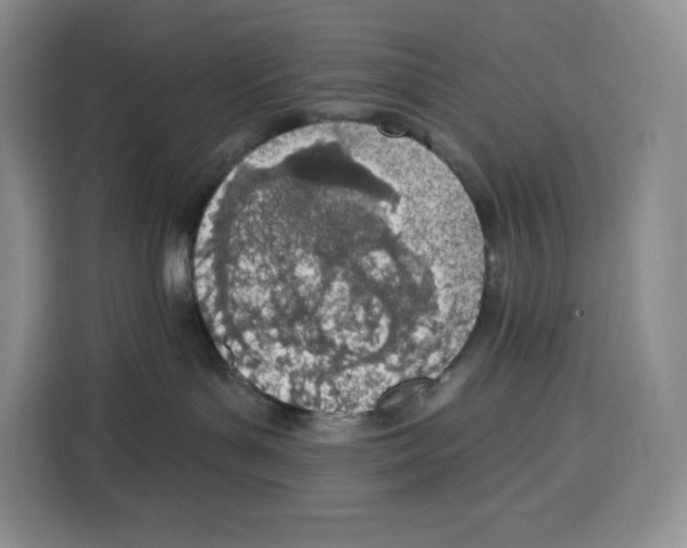 X0000115070143200911241129