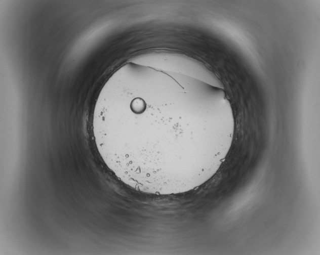X0000115070146200911241129