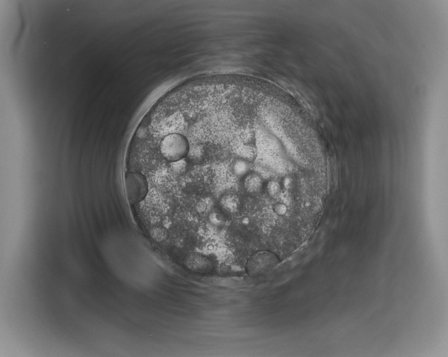 X0000115070147200911241129