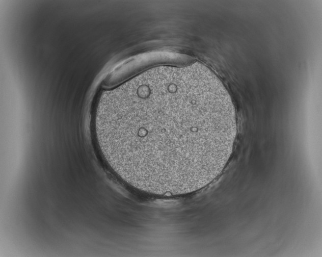 X0000115070150200911241129