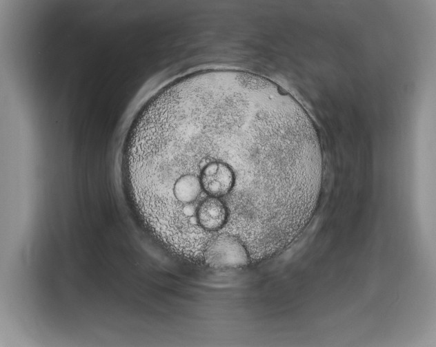X0000115070151200911241129