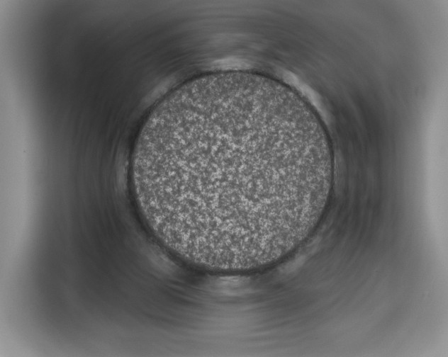 X0000115070153200911241129