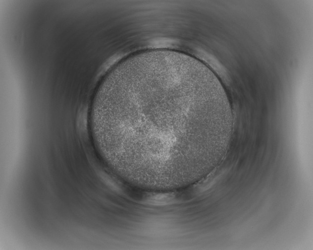 X0000115070155200911241129