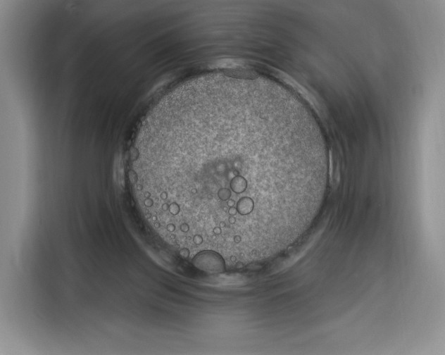 X0000115070157200911241129