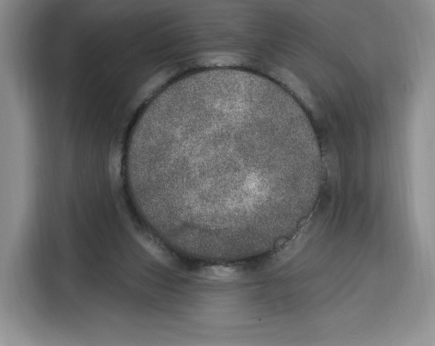 X0000115070159200911241129