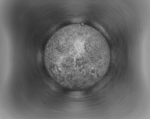 X0000115070161200911241129