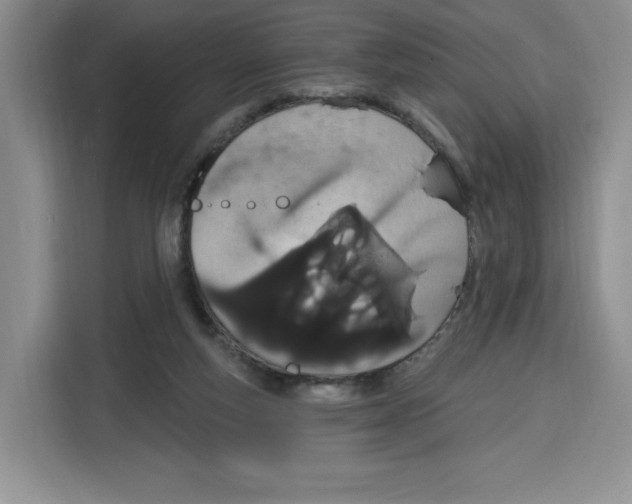 X0000115070163200911241129