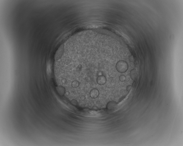 X0000115070166200911241129