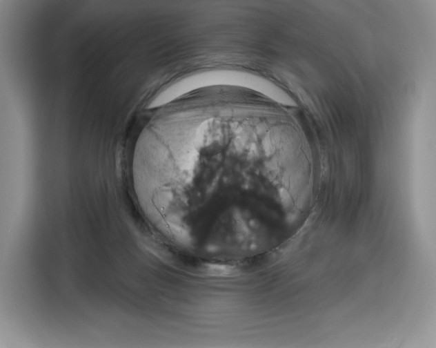 X0000115070167200911241129