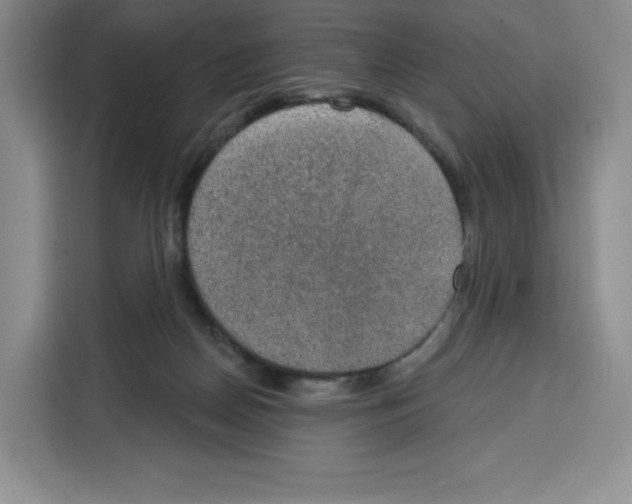 X0000115070170200911241129