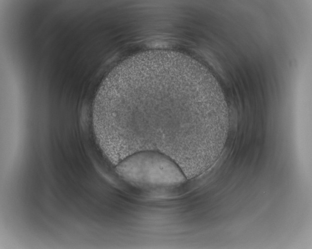X0000115070171200911241129