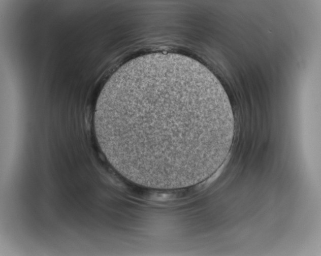 X0000115070174200911241129