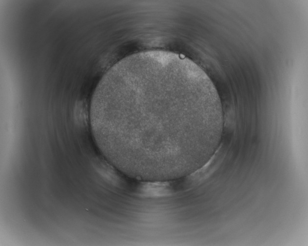 X0000115070179200911241129