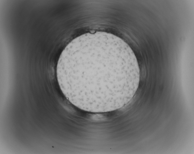 X0000115070183200911241129