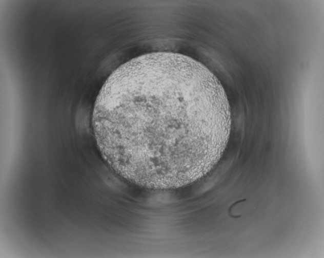 X0000115070185200911241129